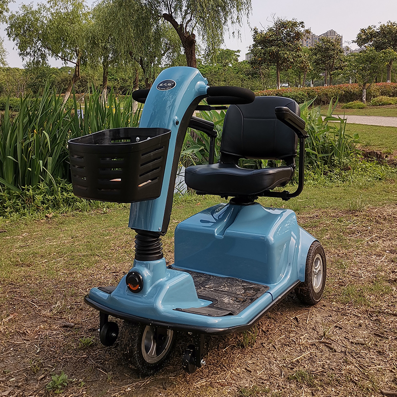 handicapped three wheels sightseeing mobility scooter 